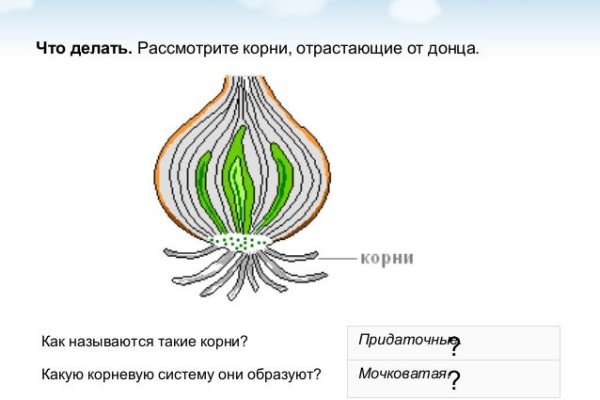 Как закинуть деньги на кракен